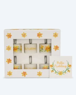 Discount 6 LED-Teelichter 