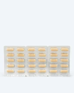 Best Leber PROTECT, 30 Kps. Nahrungsergänzung