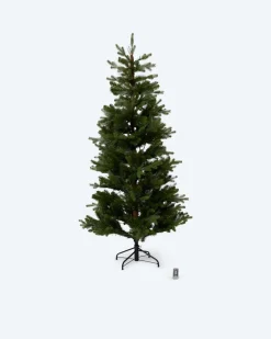 Best Outdoor-Weihnachtsbaum mit Fiberglas Dekoration